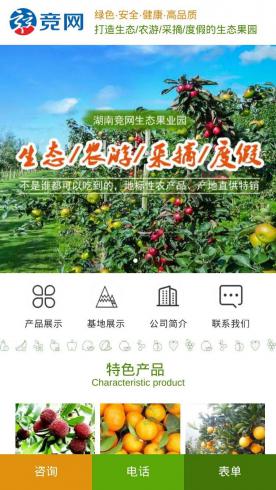 农林牧渔-水果农场D19